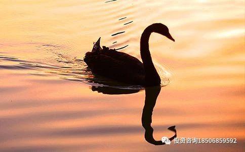 连续两天，两个“黑天鹅”吓坏欧美市场！道指狂泻近500点，苹果市值蒸发1800亿元-明慧期货培训网，学习联系：15217215251