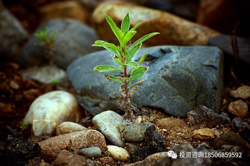 期货交易市场的十大生存规则！-明慧期货培训网，学习联系：15217215251