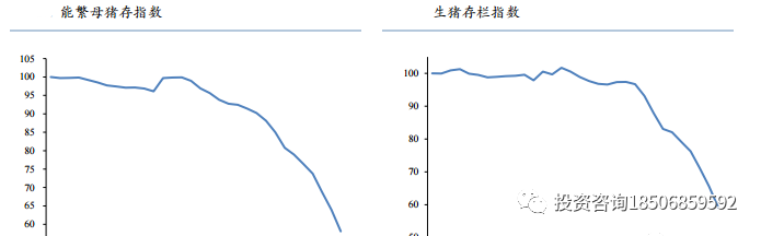 豆粕临近4年大周期拐点，天气、生猪、美豆，哪个是“关键先生”？