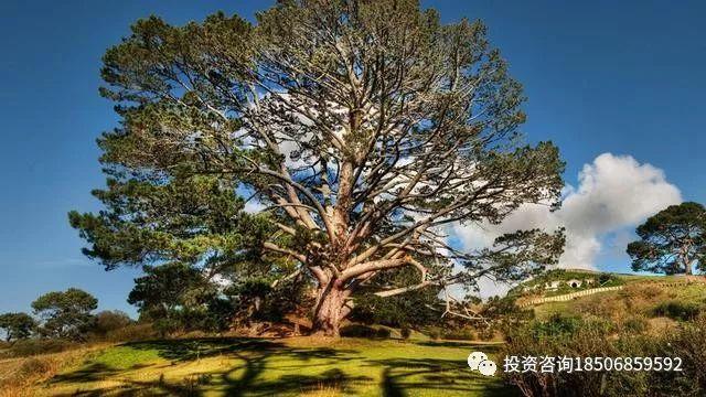 一个女期货交易员的自白：可惜世上没有后悔药