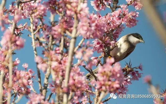 一个女期货交易员的自白：可惜世上没有后悔药