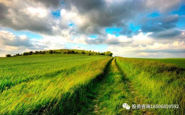 一个女期货交易员的自白：可惜世上没有后悔药