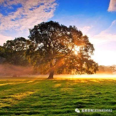 一个女期货交易员的自白：可惜世上没有后悔药-明慧期货培训网，学习联系：15217215251