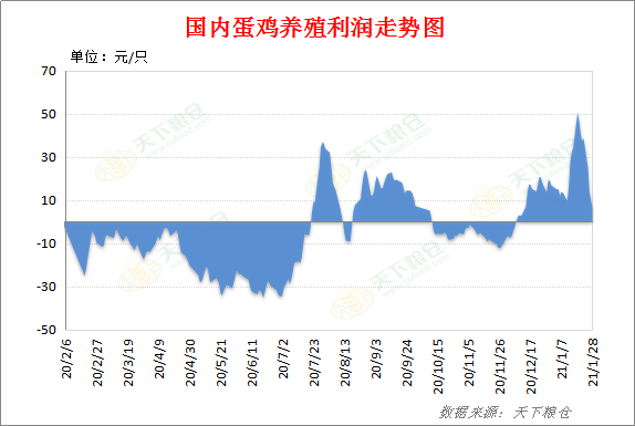 鸡蛋：春节后的上涨行情将是确定的