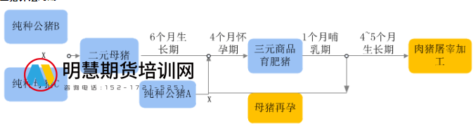 图片[1]-炒期货的人都看看吧，全球重要农产品分布-明慧期货培训网，学习联系：15217215251